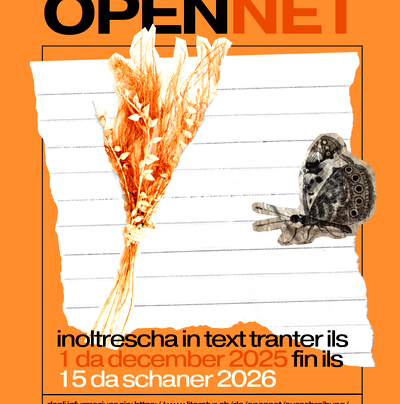 Concurrenza da scriver OpenNet (Solothurner Literaturtage)