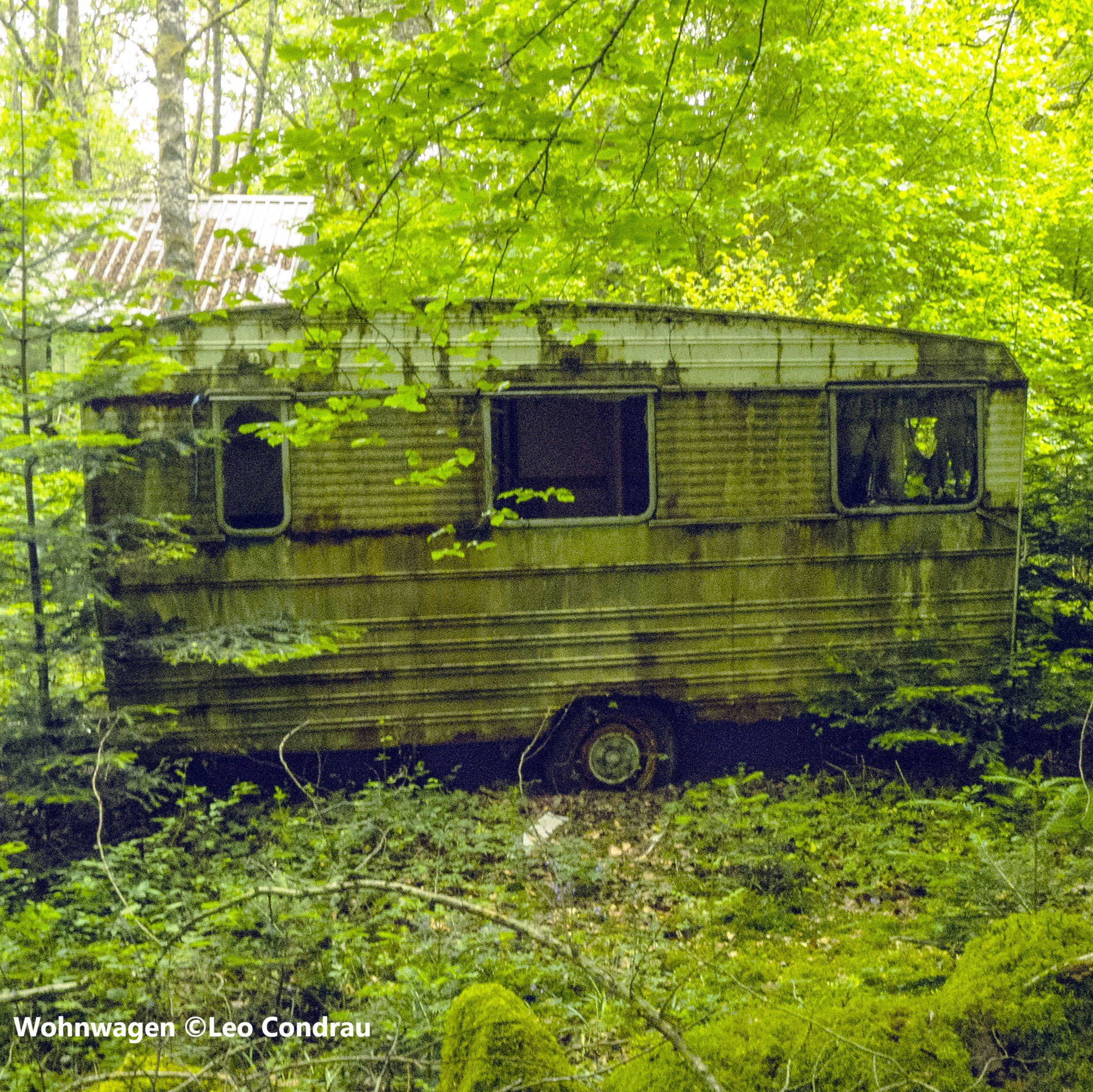 Luvratori per affons