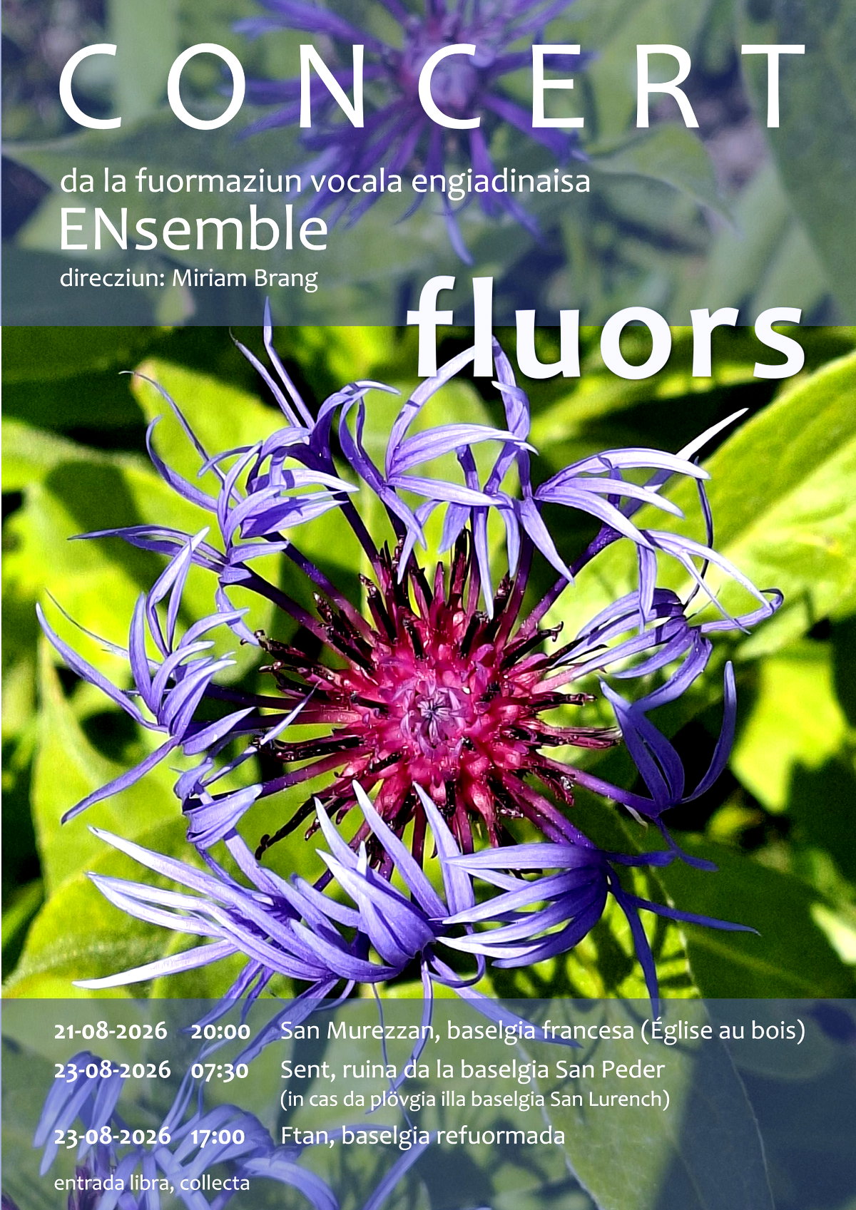 ensemble-2026_fluors_placat.jpg